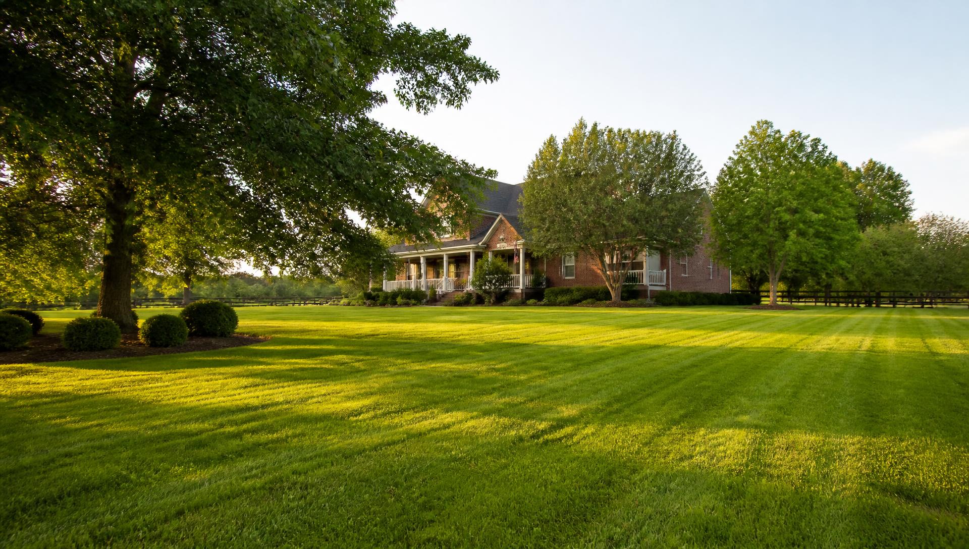 Expansive manicured lawn and landscaping at a Middle Tennessee property
